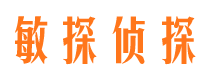 连平市场调查